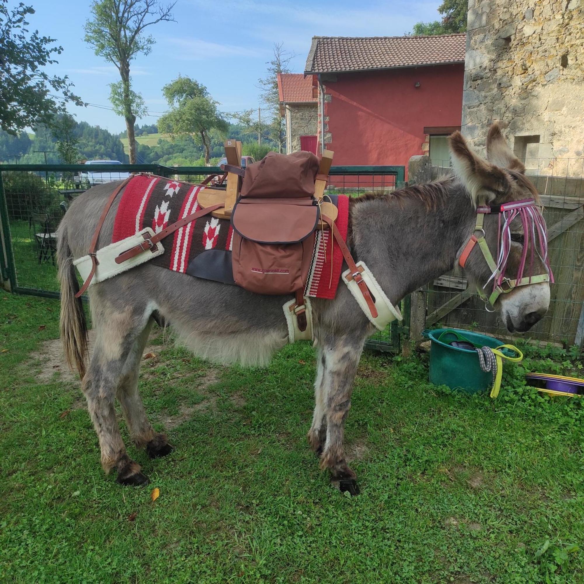 La Roche Bertignat